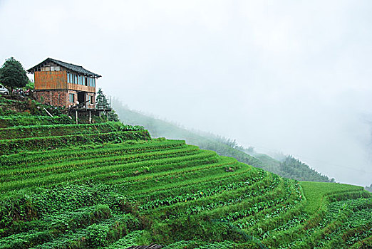 số kết quả