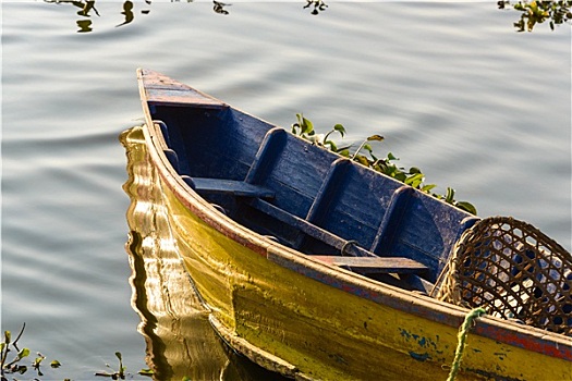 thống kê xổ số cần thơ