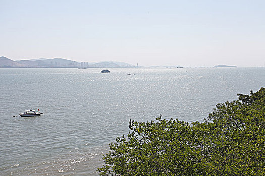 soi cau lo 568