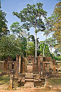 soi cau 365 net