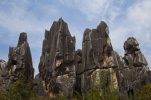 dự đoán xo so