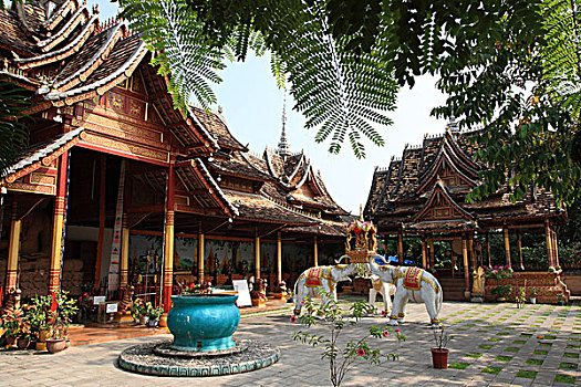 xs tien giang