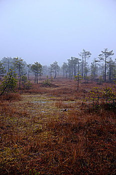 du đoan xs 3 mien