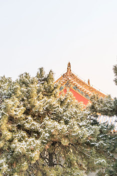 dự đoán kết quả xổ số bạc liêu