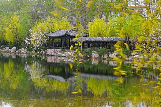 bach thu mien bac hom nay