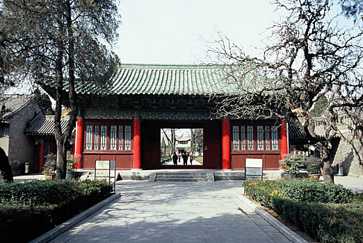 soi câu lô bach thu