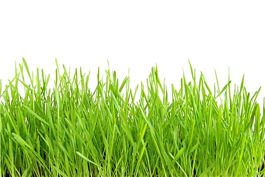 xô số miền nam