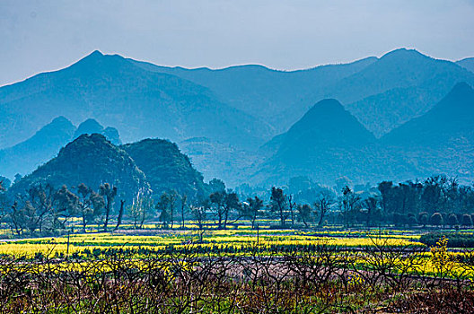 soi cau bach thu mien bac mien phi