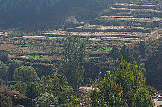 xổ số thứ