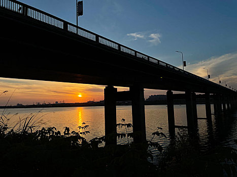 soi cau bach thu 247
