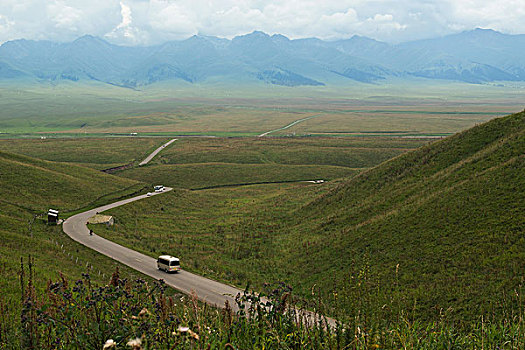 soi cau miên bac