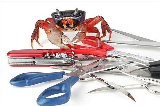 dự đoán số miền nam hôm nay