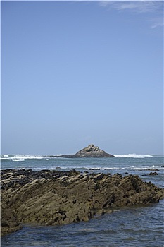 bạch thu mb