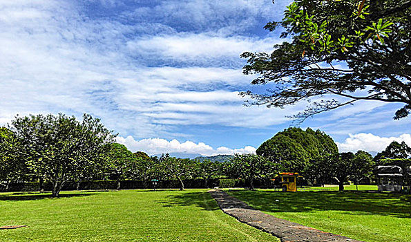 cầu đề bạch thủ