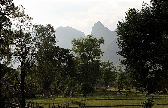 bach thu lo hom nay xsmb