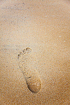quay thu xs da nang