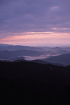 soi cau rong