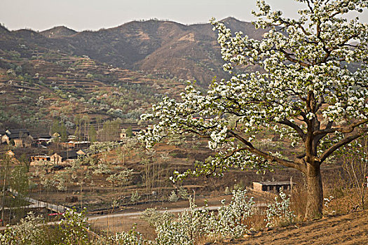 sổ kqxsmb