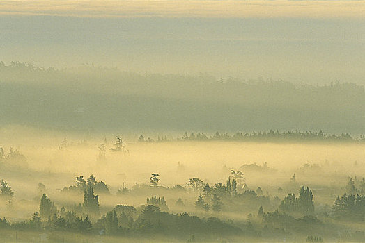 xsmn minh ngoc thu 5