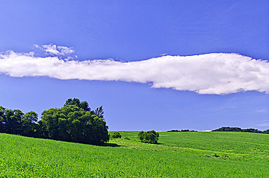 du doan lo to mien nam