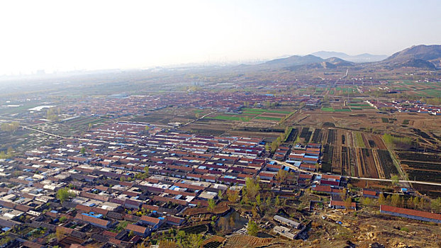 soicau rongbachkim