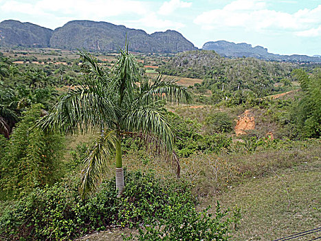 cầu đẹp hôm nay