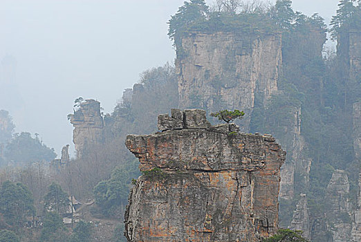 trang lô đề