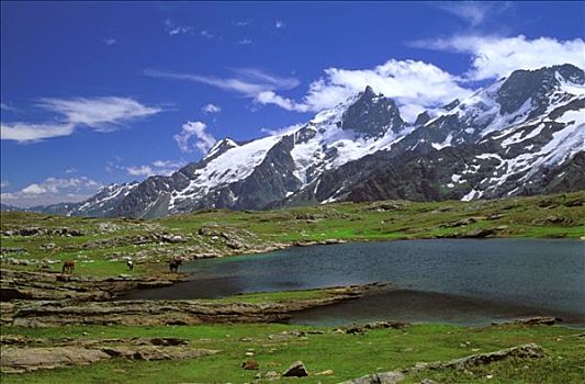 cau bach thu mb hom nay