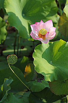 xổ số đài miền bắc