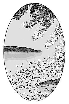 xs đà nẵng