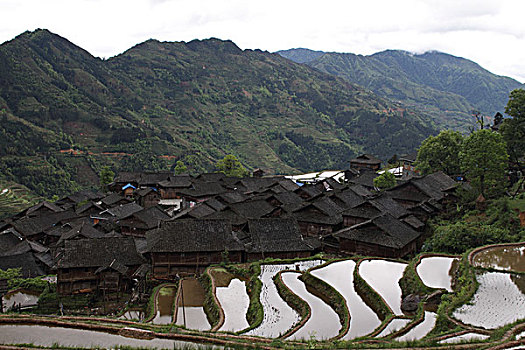 soi cau chuan xsmb