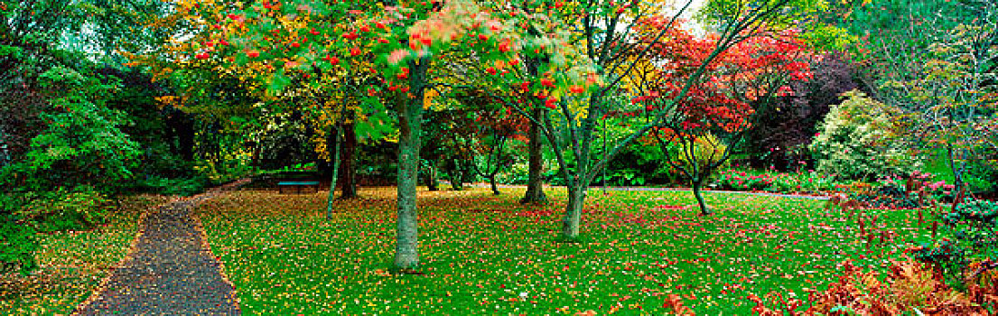 xskt tây ninh