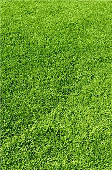 tra cứu kết quả xổ số