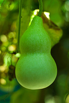 xskt bình thuận