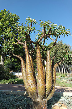 xổ số tây ninh tuần trước