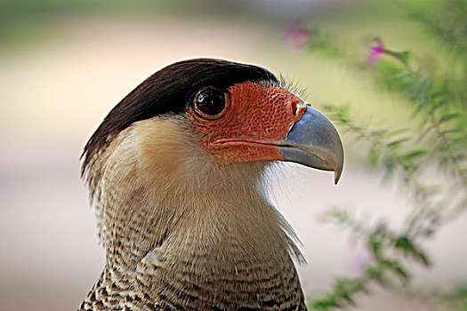 du doan xsmb 24h