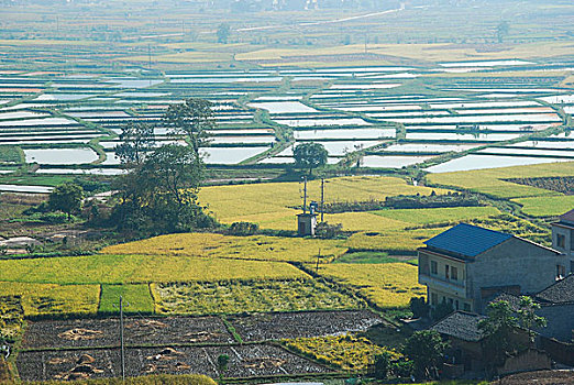 soi cầu xsmb miễn phí