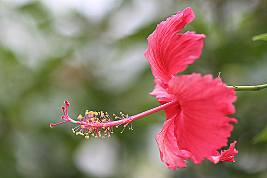 giờ vàng chốt số mb