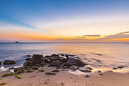 bạch thủ lô miền bắc