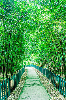 bạch thủ lô đề