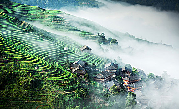 cầu vip miền bắc