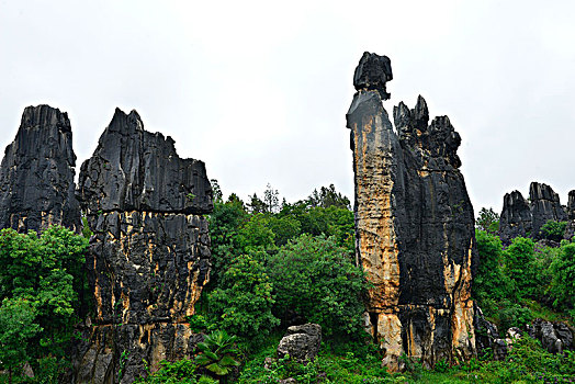 xổ số dự đoán hôm nay