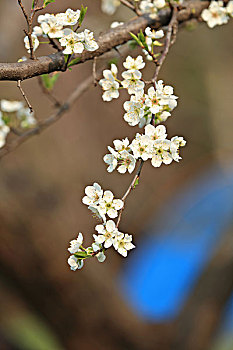 dự đoán kqxs hôm nay