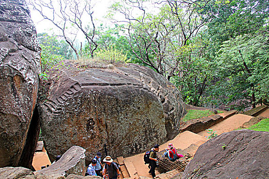 binh luan lo de mien bac