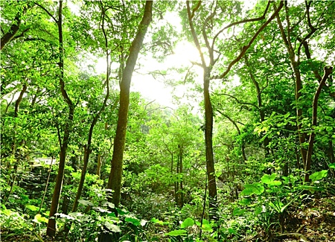 soi cầu lô bạch thủ miễn phí hôm nay