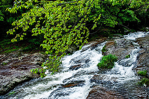 soi cau de bach thu hom nay