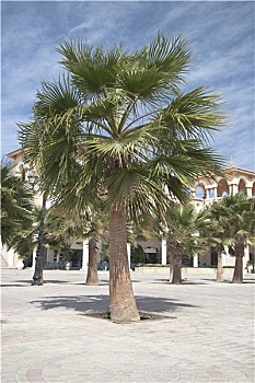 dự đoán xsmb