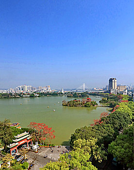 xs miên nam