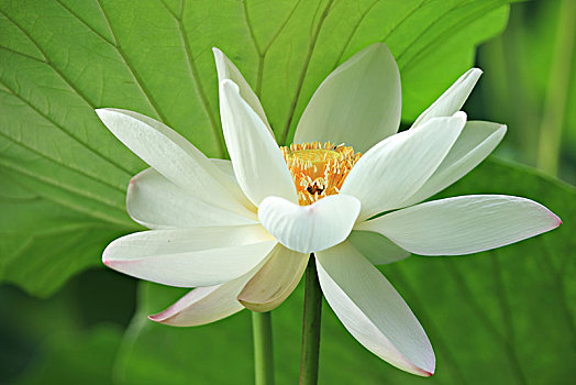 xổ số miền nam chủ nhật tuần rồi