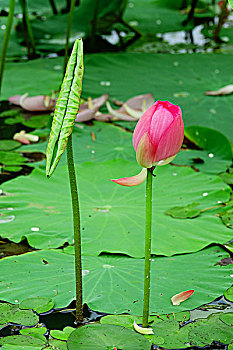 xsmb theo tuần